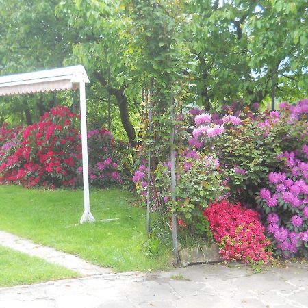 Albergo Negritella Borgo Valsugana Екстер'єр фото