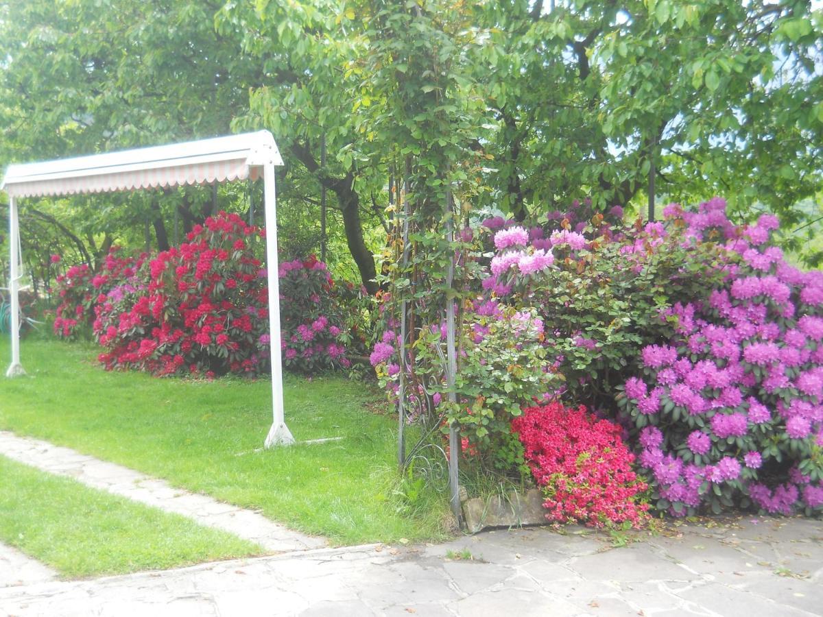 Albergo Negritella Borgo Valsugana Екстер'єр фото